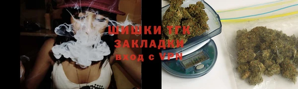 ГАЛЛЮЦИНОГЕННЫЕ ГРИБЫ Алзамай