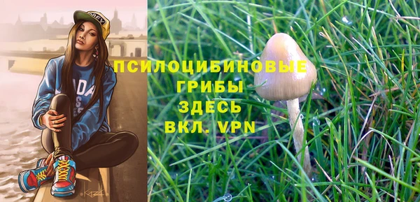 ГАЛЛЮЦИНОГЕННЫЕ ГРИБЫ Алзамай