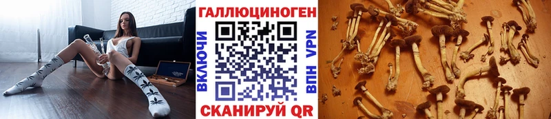 купить наркотики цена  Кореновск  сайты даркнета состав  Галлюциногенные грибы Psilocybine cubensis 